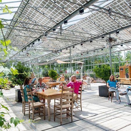 Achterhoeks Goed, Bed & Breakfast In Vragender Eksteriør billede