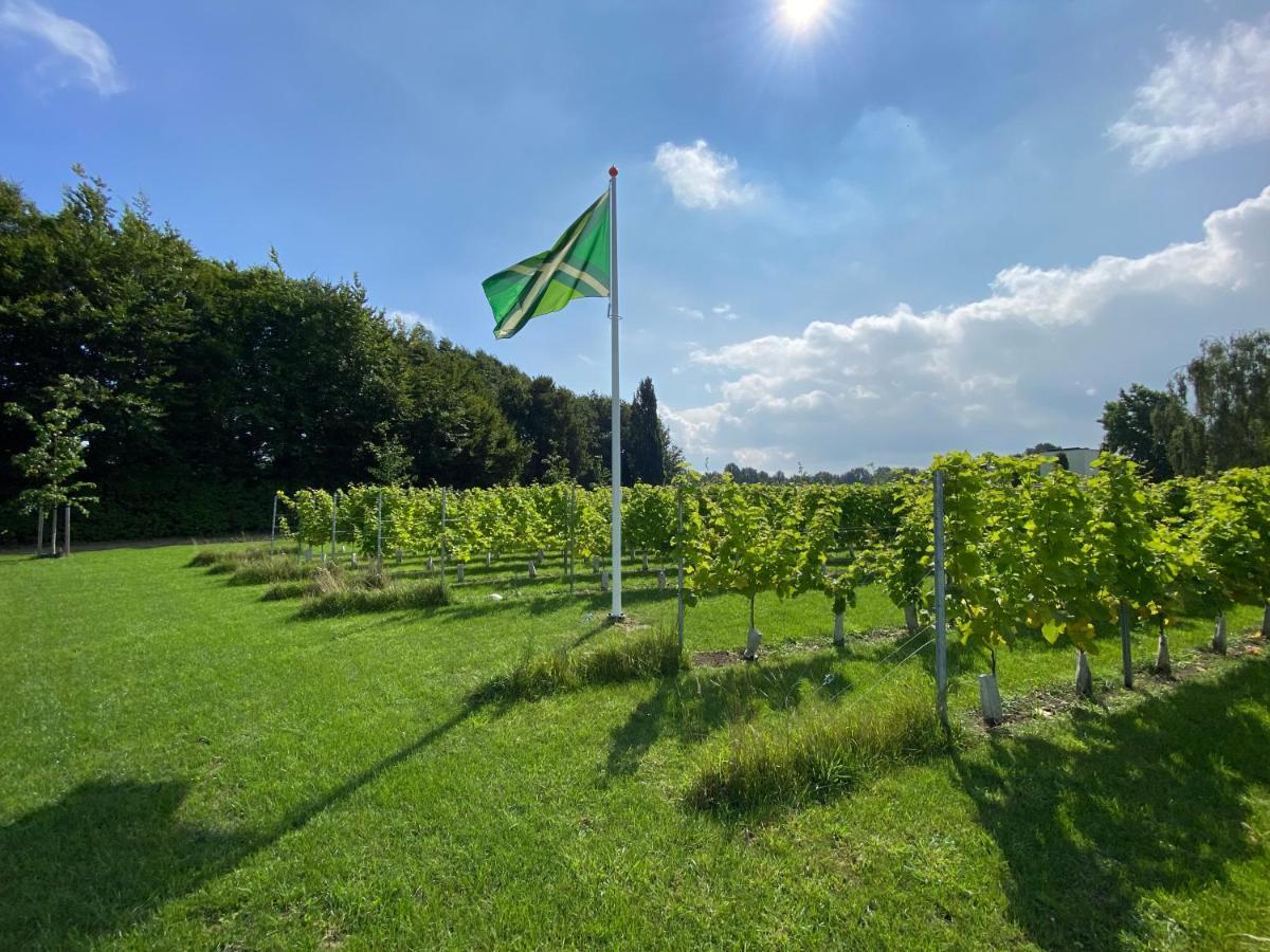 Achterhoeks Goed, Bed & Breakfast In Vragender Eksteriør billede