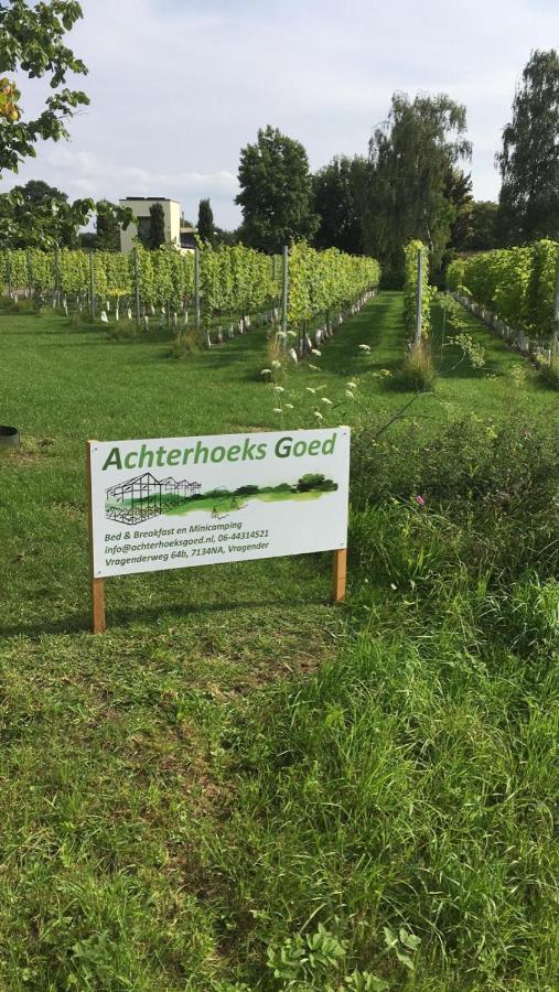 Achterhoeks Goed, Bed & Breakfast In Vragender Eksteriør billede