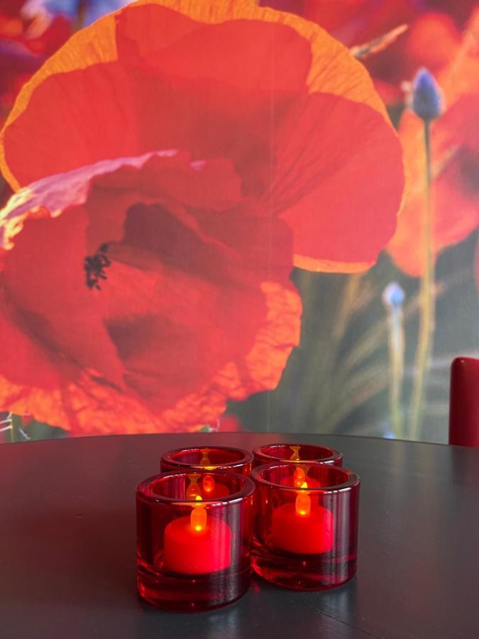 Achterhoeks Goed, Bed & Breakfast In Vragender Eksteriør billede